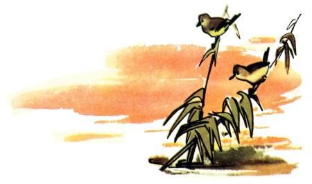 Голубой дымок вигвама - i_051.jpg