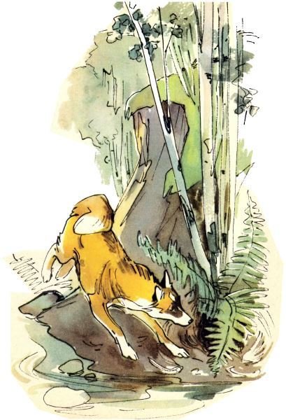 Голубой дымок вигвама - i_073.jpg