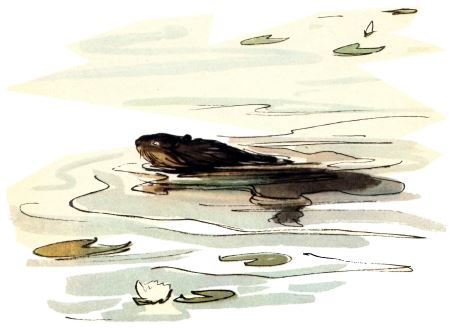 Голубой дымок вигвама - i_083.jpg