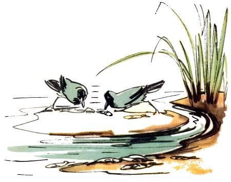 Голубой дымок вигвама - i_089.jpg