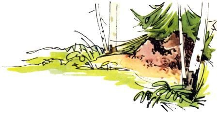 Голубой дымок вигвама - i_091.jpg