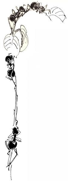 Голубой дымок вигвама - i_092.jpg