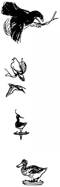 Голубой дымок вигвама - i_114.jpg