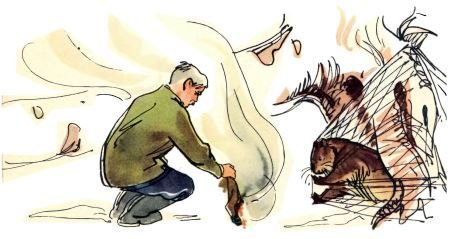 Голубой дымок вигвама - i_127.jpg