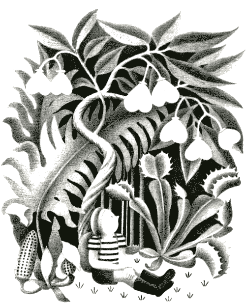 Папин дракон - img16.png