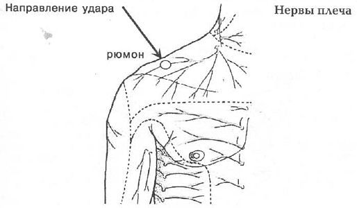 Aнатомия жизни и смерти. Жизненно важные точки на теле человека - _122.jpg