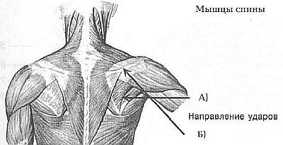 Aнатомия жизни и смерти. Жизненно важные точки на теле человека - _136.jpg