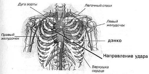 Aнатомия жизни и смерти. Жизненно важные точки на теле человека - _140.jpg