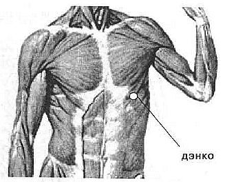 Aнатомия жизни и смерти. Жизненно важные точки на теле человека - _141.jpg