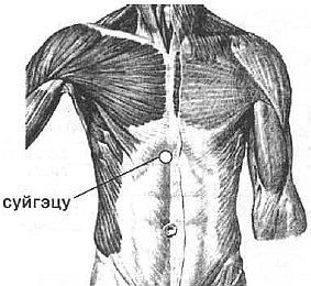 Aнатомия жизни и смерти. Жизненно важные точки на теле человека - _147.jpg