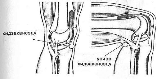 Aнатомия жизни и смерти. Жизненно важные точки на теле человека - _167.jpg