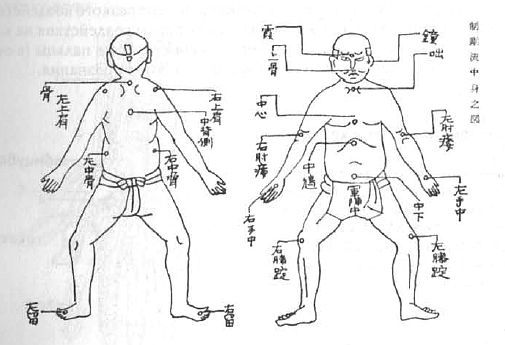 Aнатомия жизни и смерти. Жизненно важные точки на теле человека - _191.jpg