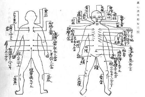Aнатомия жизни и смерти. Жизненно важные точки на теле человека - _194.jpg