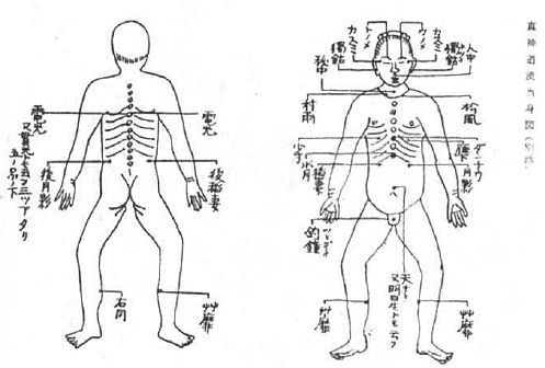 Aнатомия жизни и смерти. Жизненно важные точки на теле человека - _196.jpg