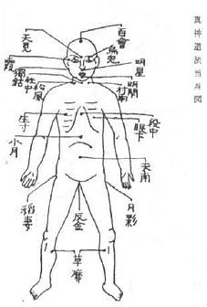 Aнатомия жизни и смерти. Жизненно важные точки на теле человека - _197.jpg
