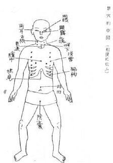 Aнатомия жизни и смерти. Жизненно важные точки на теле человека - _198.jpg