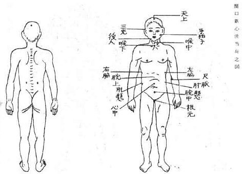 Aнатомия жизни и смерти. Жизненно важные точки на теле человека - _201.jpg