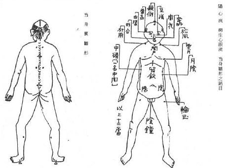 Aнатомия жизни и смерти. Жизненно важные точки на теле человека - _203.jpg