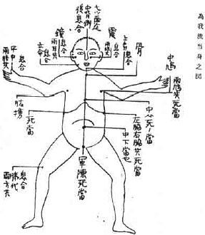 Aнатомия жизни и смерти. Жизненно важные точки на теле человека - _206.jpg