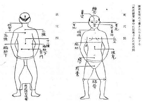 Aнатомия жизни и смерти. Жизненно важные точки на теле человека - _211.jpg