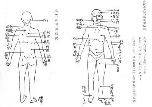 Aнатомия жизни и смерти. Жизненно важные точки на теле человека - _212.jpg