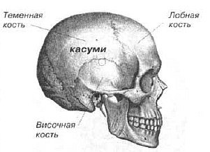 Aнатомия жизни и смерти. Жизненно важные точки на теле человека - _85.jpg