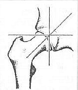 Aнатомия жизни и смерти. Жизненно важные точки на теле человека - _10.jpg