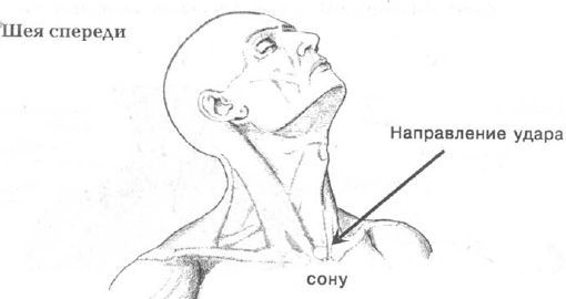 Aнатомия жизни и смерти. Жизненно важные точки на теле человека - _118.jpg