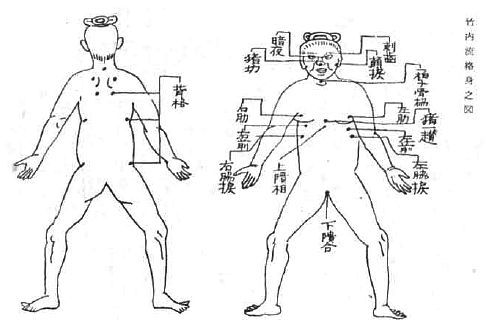 Aнатомия жизни и смерти. Жизненно важные точки на теле человека - _192.jpg