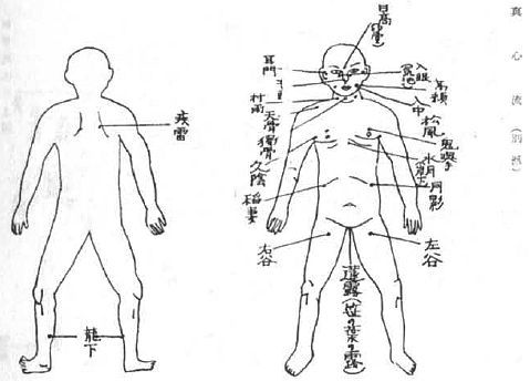 Aнатомия жизни и смерти. Жизненно важные точки на теле человека - _195.jpg