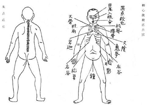 Aнатомия жизни и смерти. Жизненно важные точки на теле человека - _204.jpg
