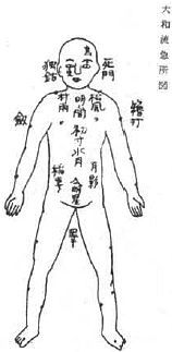 Aнатомия жизни и смерти. Жизненно важные точки на теле человека - _205.jpg