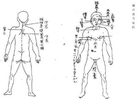 Aнатомия жизни и смерти. Жизненно важные точки на теле человека - _207.jpg
