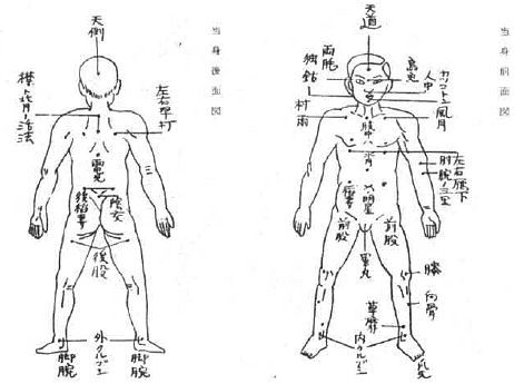 Aнатомия жизни и смерти. Жизненно важные точки на теле человека - _208.jpg