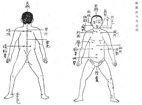 Aнатомия жизни и смерти. Жизненно важные точки на теле человека - _209.jpg