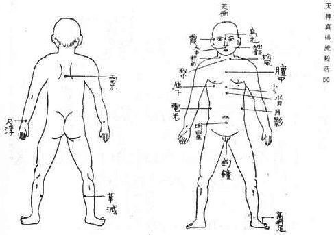 Aнатомия жизни и смерти. Жизненно важные точки на теле человека - _210.jpg