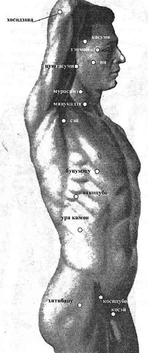 Aнатомия жизни и смерти. Жизненно важные точки на теле человека - _77.jpg