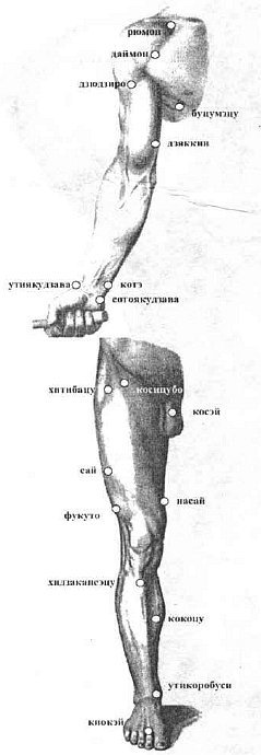 Aнатомия жизни и смерти. Жизненно важные точки на теле человека - _79.jpg