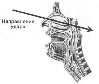 Aнатомия жизни и смерти. Жизненно важные точки на теле человека - _90.jpg