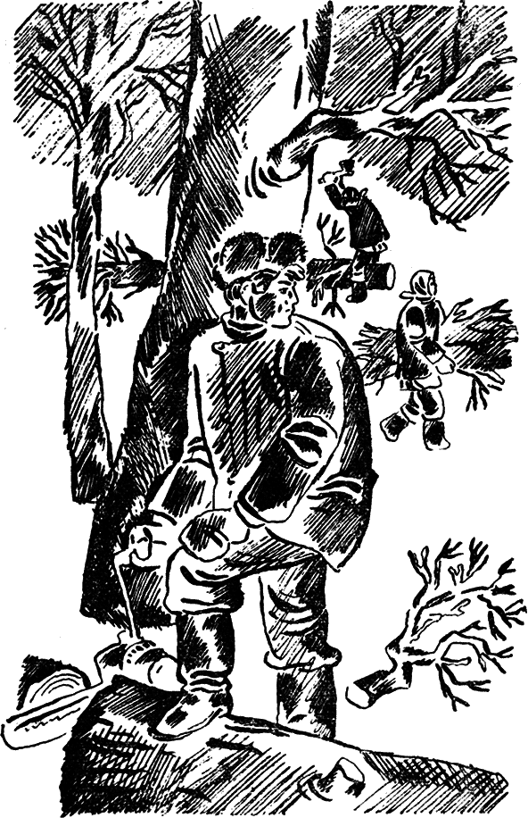 Девчата. Повесть и рассказы - i_007.png