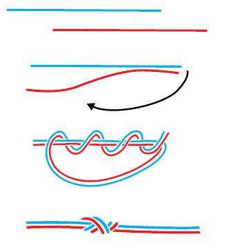 Большая книга узлов. Рыбацкие, охотничьи, морские, туристские, альпинистские, бытовые - i_050.jpg