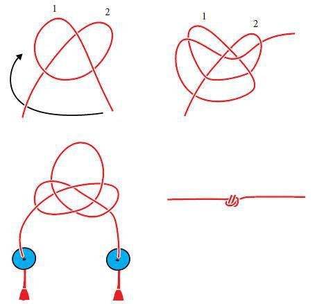 Большая книга узлов. Рыбацкие, охотничьи, морские, туристские, альпинистские, бытовые - i_118.jpg