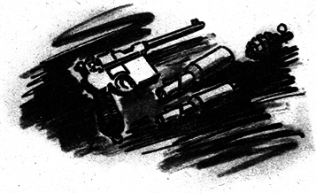 Рассказы о Чапаеве. Матрос Железняк (сборник) - i_013.png