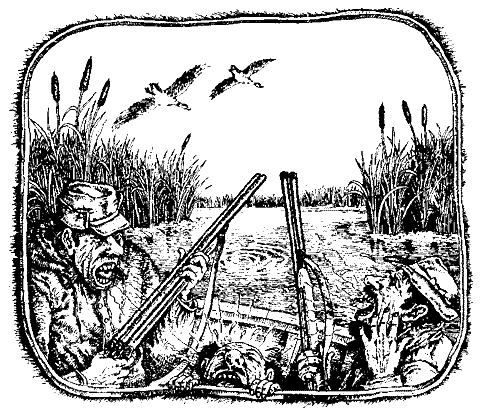 Необыкновенные приключения Арбузика и Бебешки - img08.png