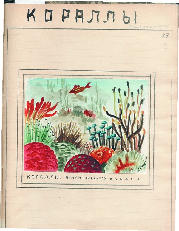 Дневник советского школьника. Мемуары пророка из 9А - i_013.jpg