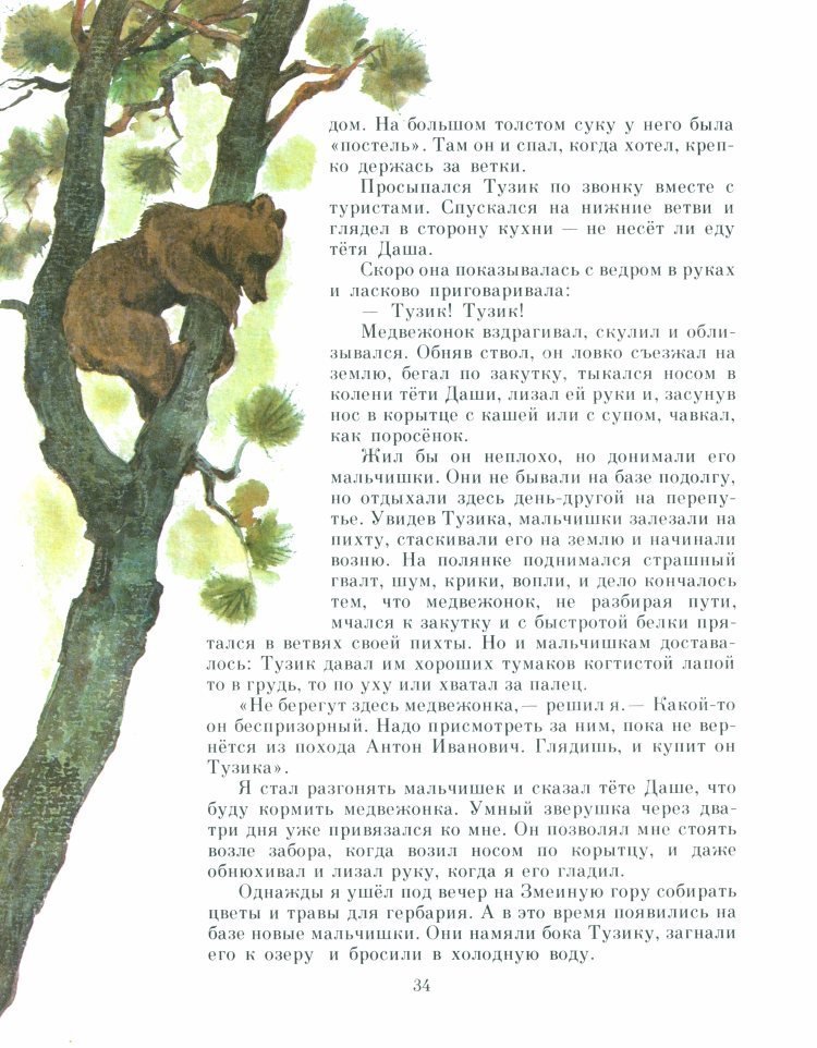 Рыжик - _37.jpg