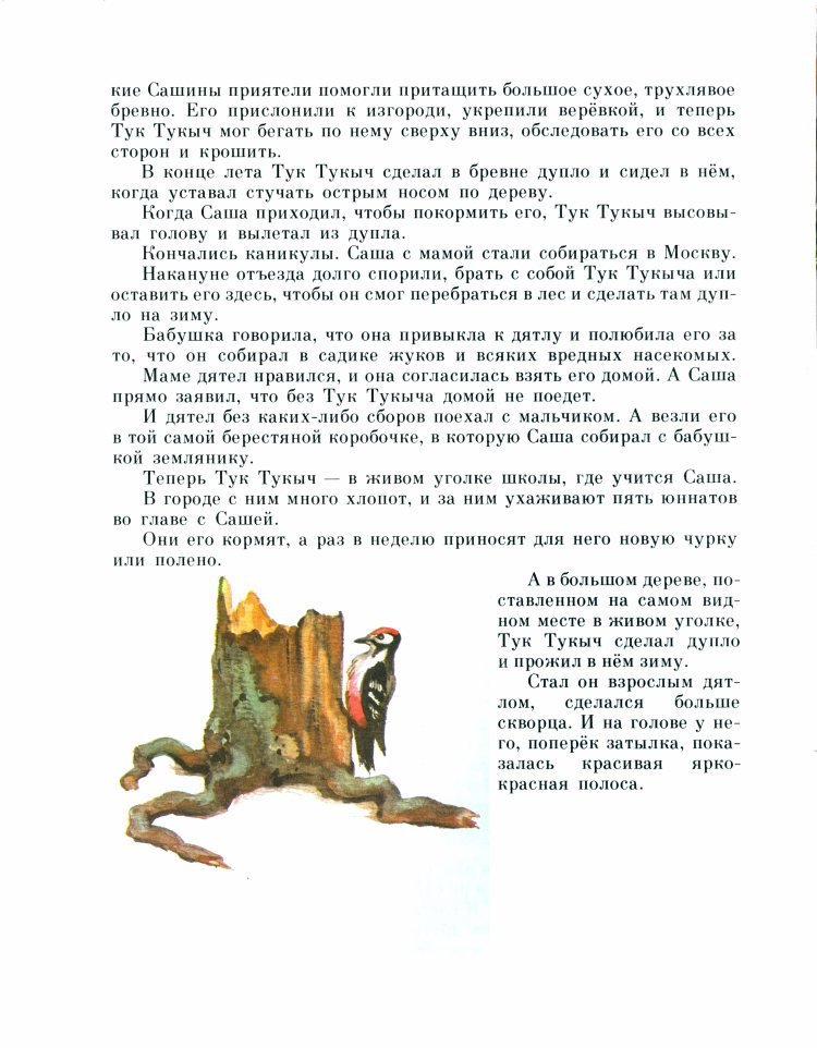 Рыжик - _11.jpg
