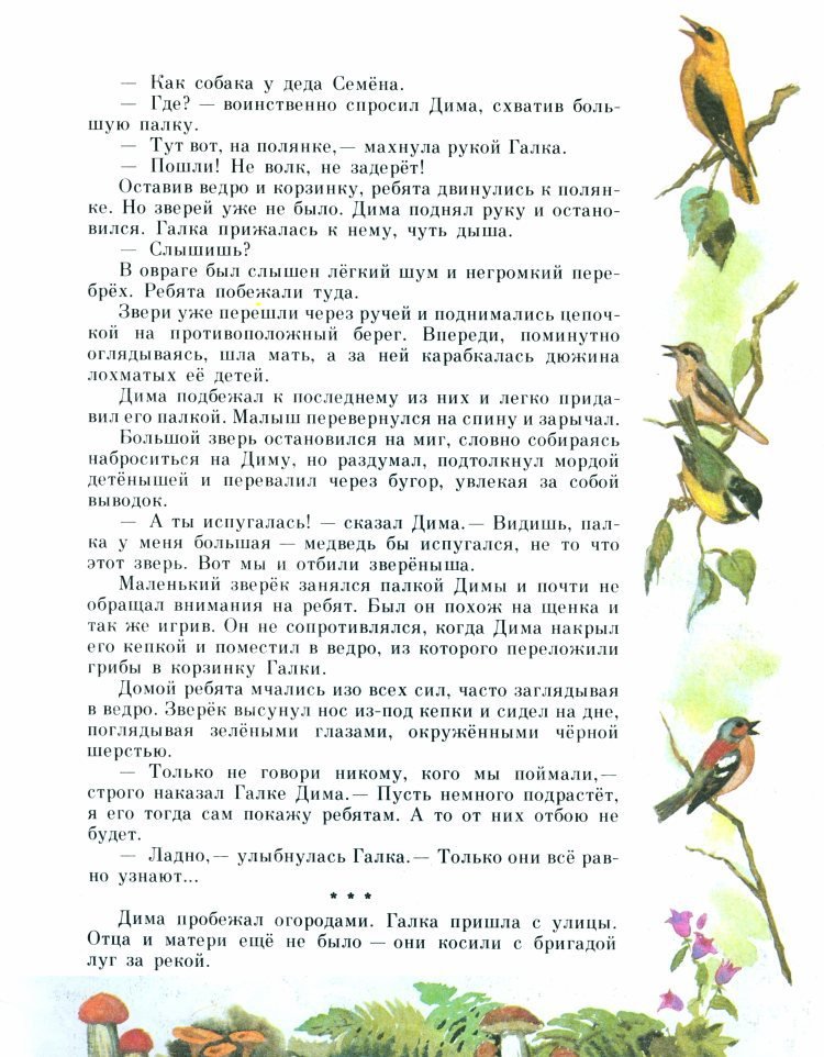Рыжик - _14.jpg