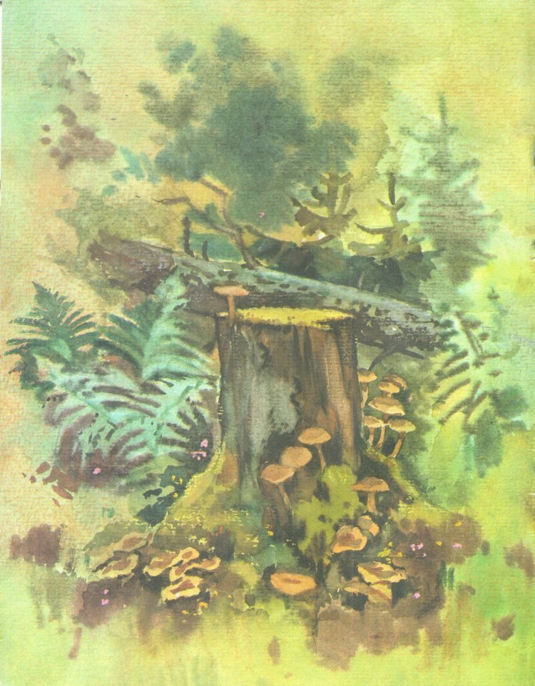 Рыжик - _3.jpg