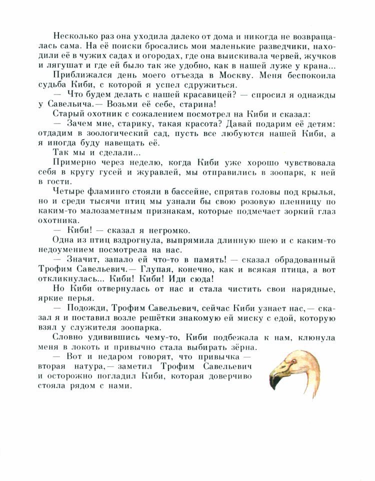 Рыжик - _26.jpg